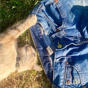 True Religion Blue Jeans